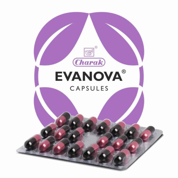 Evanova : Charak